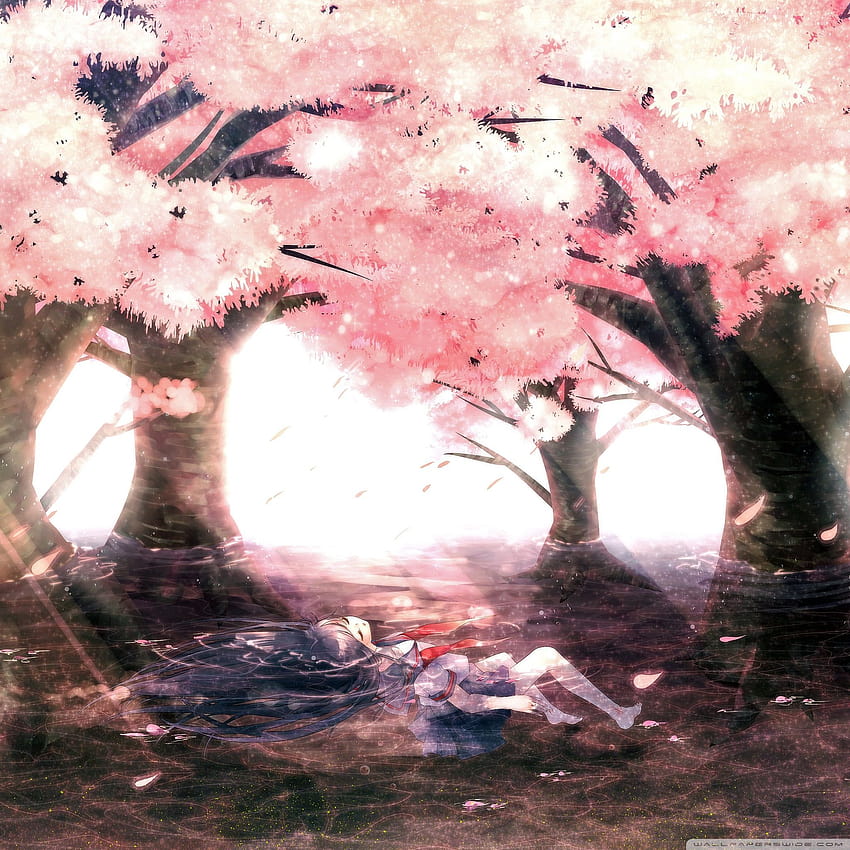 Cherry Blossom Tree Anime ... dostęp, estetyczne drzewo anime Tapeta na telefon HD