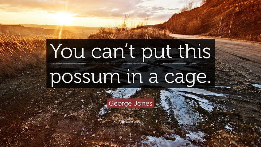 George Jones Quote: “You can't put this possum in a cage.” HD wallpaper