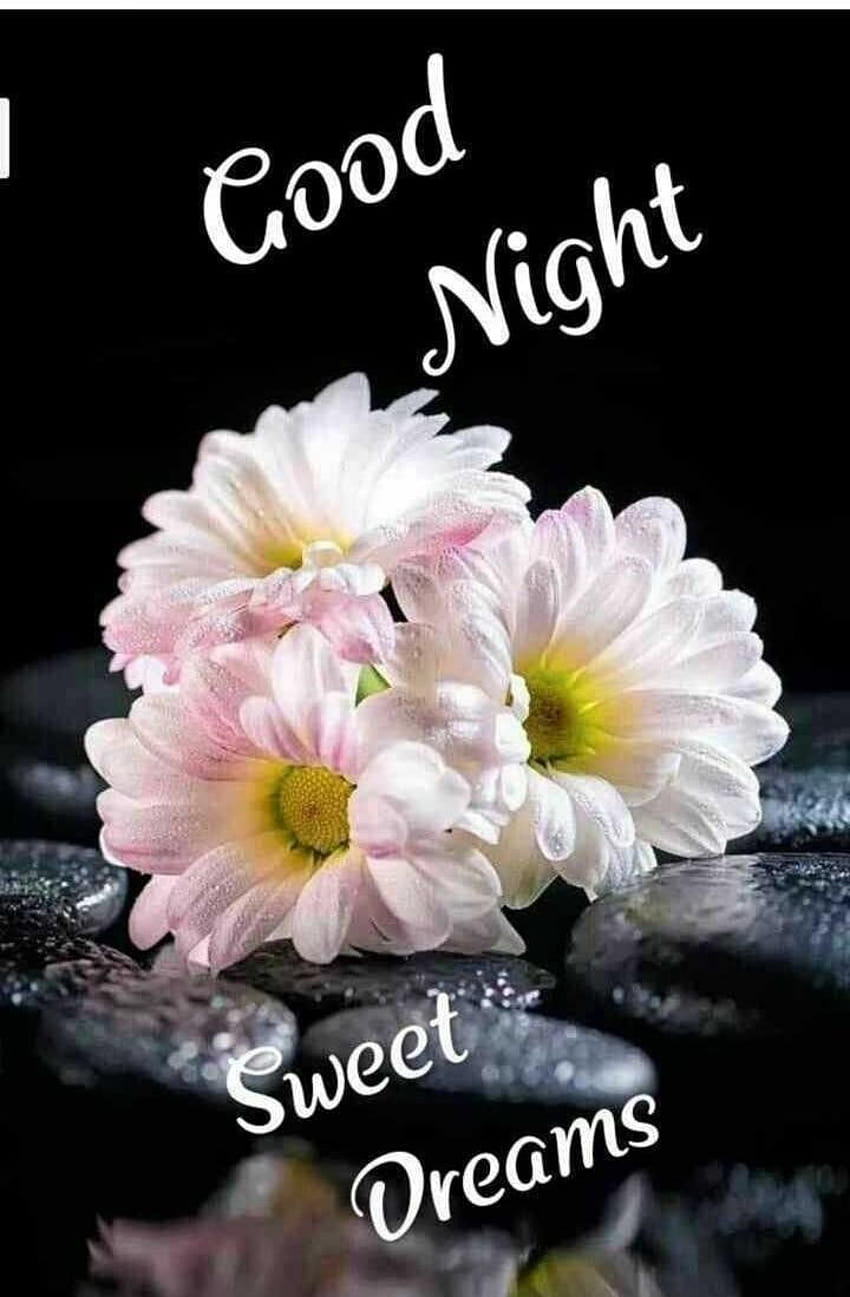 22 Good Night for Whatsapp, good night flower HD phone wallpaper ...