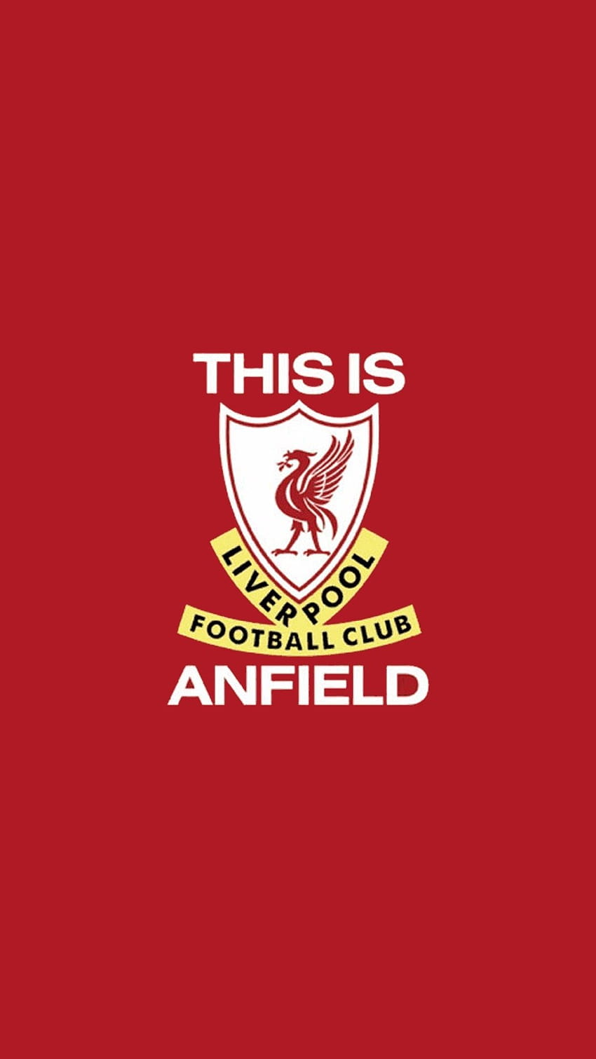 Sports Liverpool F.C., liverpool players 2022 HD phone wallpaper