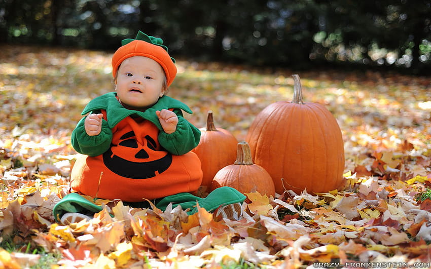 Pumpkin, cute baby halloween HD wallpaper
