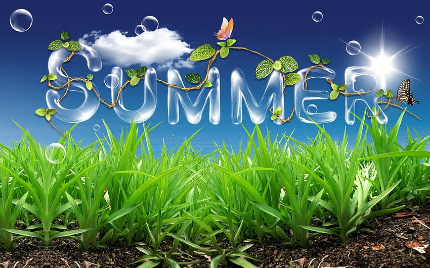 summertime ,natural landscape,grass,sky,plant,daytime,grass family,spring,lawn,flower,landscape, summer day time HD wallpaper