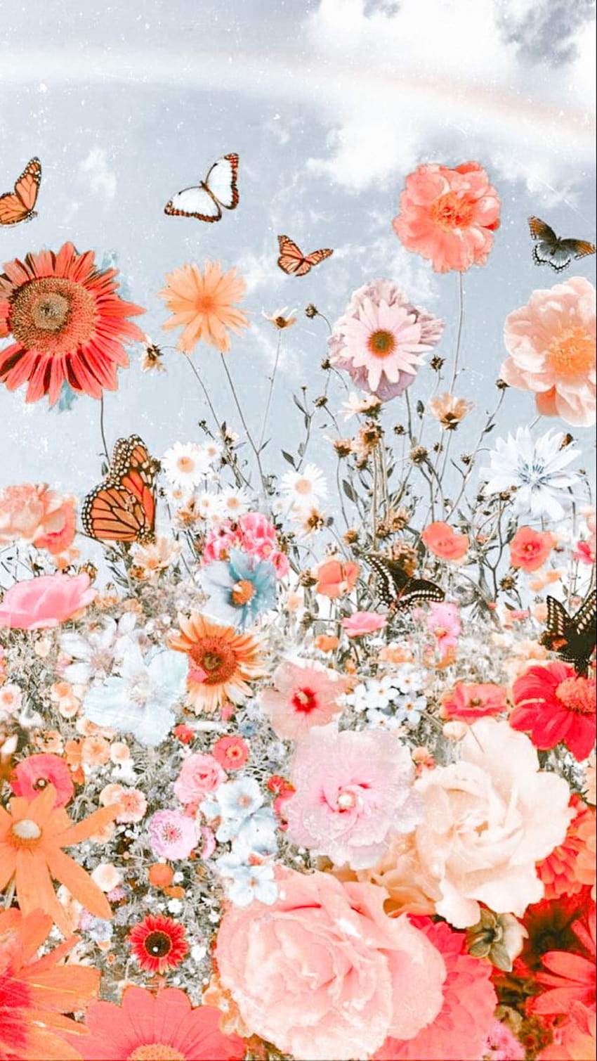 Pin on, flowers and butterfly aesthetic HD phone wallpaper