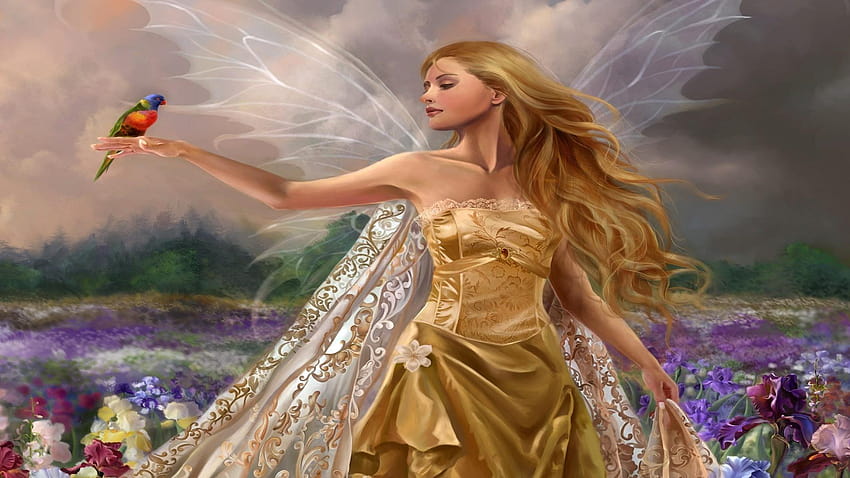 Fairy with bird on hand in field of flowers, fairy birds HD wallpaper