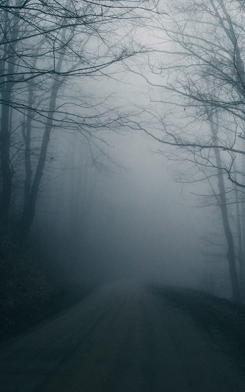 trees dark gloomy fog road, dark road with fog HD phone wallpaper