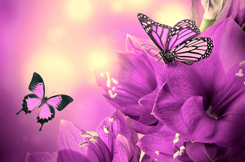 Purple Flowers Butterflies [2880x1800] for your , Mobile & Tablet, aesthetic flowers purple HD wallpaper