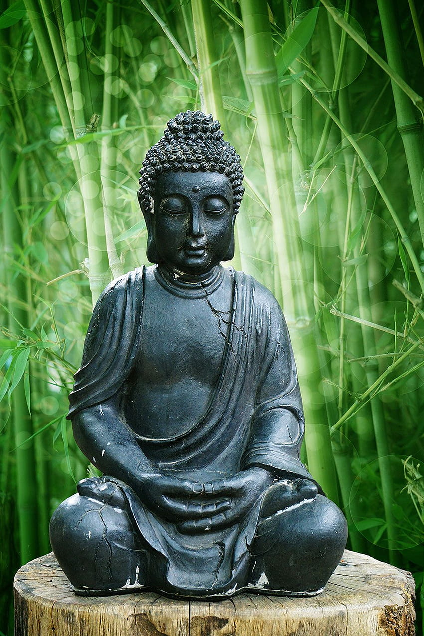 Buddha Statue HD phone wallpaper | Pxfuel