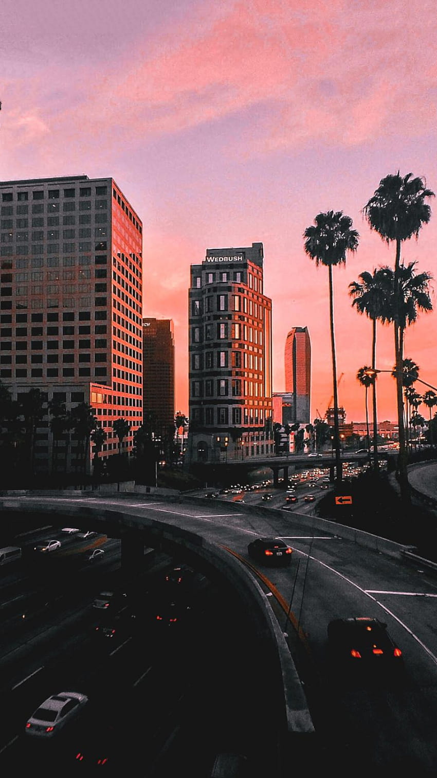 City Sunset Palms Traffic Cars Los Angeles 1000x1500 [1000x1500] for your , Mobile & Tablet, 로스앤젤레스 일몰 HD 전화 배경 화면