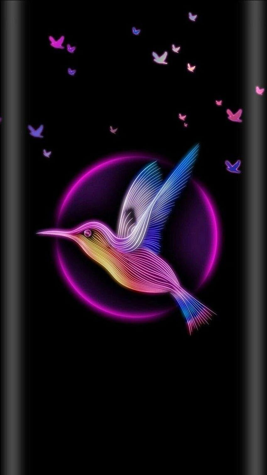 Burung kolibri hitam dan merah muda pada tahun 2019, burung kolibri dan lilac wallpaper ponsel HD