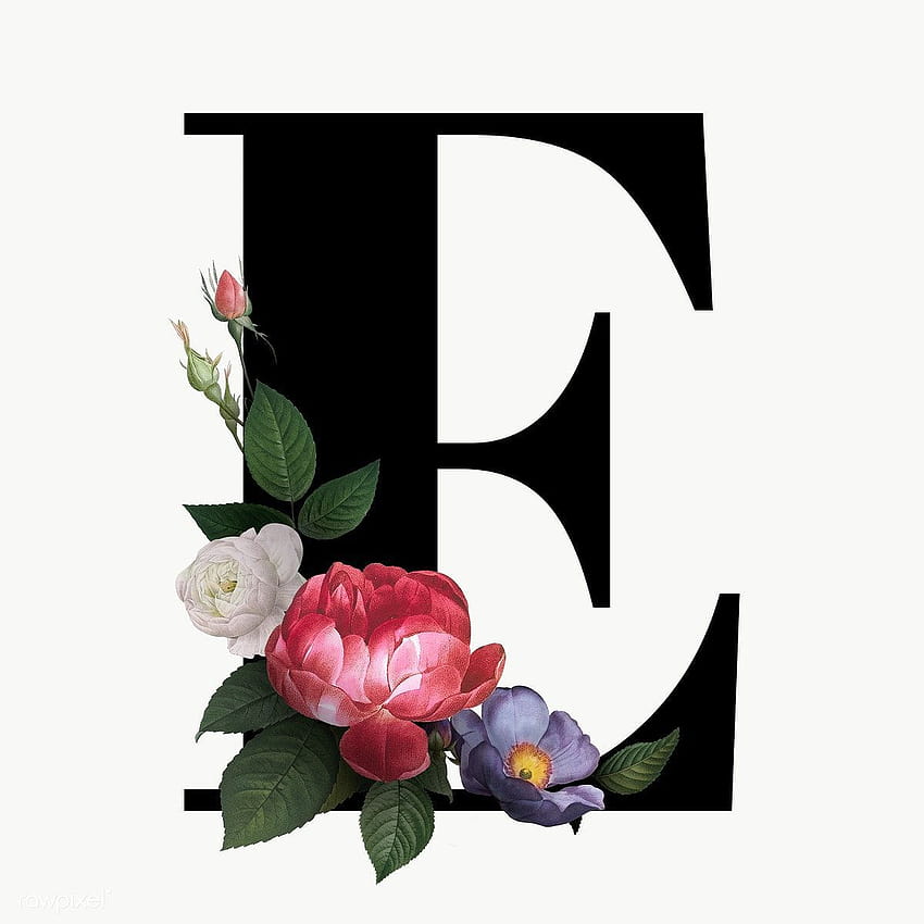premium png of Classic and elegant floral alphabet font letter E, e letter HD phone wallpaper