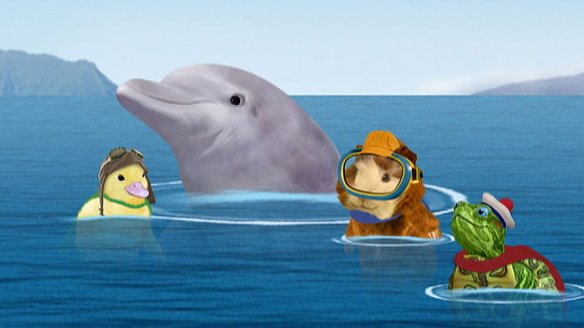Watch Wonder Pets Season 1 Episode 1: Save the Dolphin!/Save the Chimp!, the wonder pets HD wallpaper