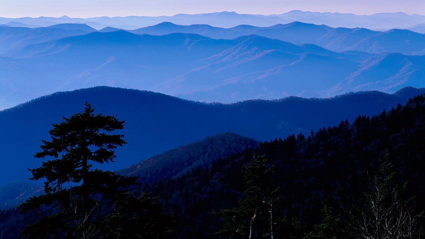 Mountain: Park National Blue Mountains Great Smokey Mist Tennessee, great smoky mountains national park HD wallpaper