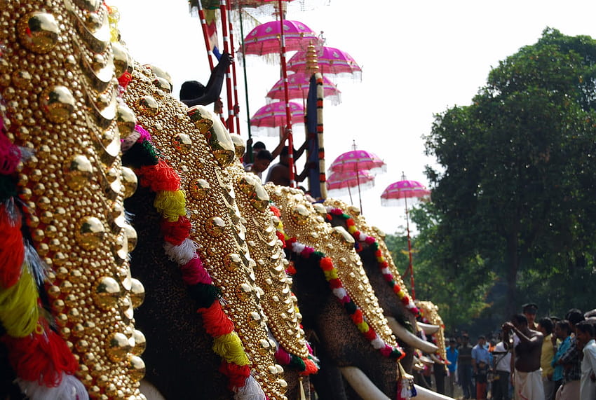 Thrissur Pooram Kerala Festival HD wallpaper