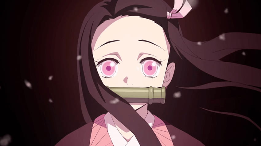 Demon Slayer, funny nezuko HD wallpaper | Pxfuel