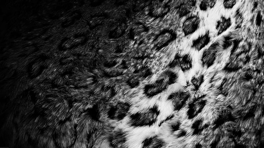 Skin Fur Leopard Black White, galaxy skin HD wallpaper