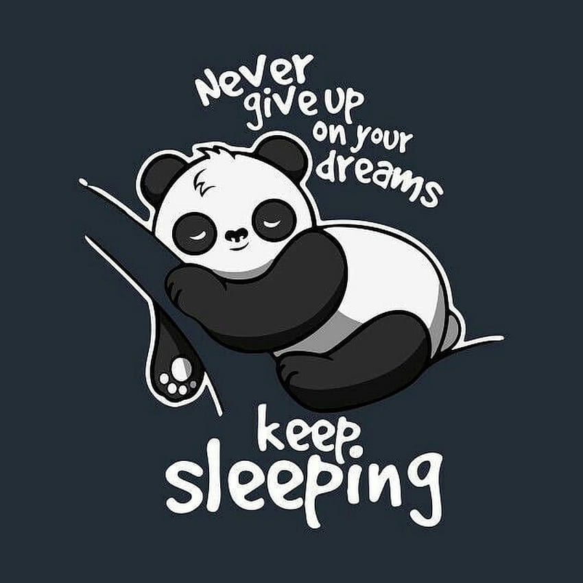 Cool Cartoon Panda, sleeping panda HD phone wallpaper | Pxfuel