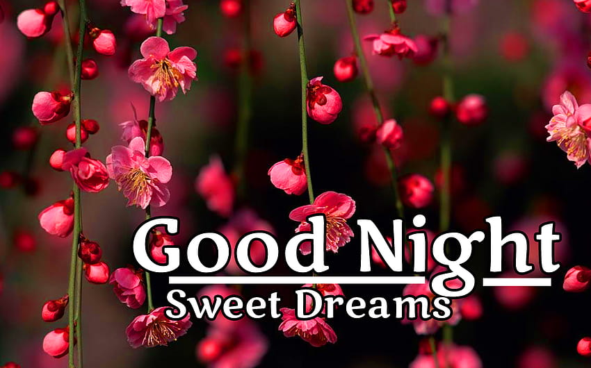 Beautiful Flowers Good Night, good night flower HD wallpaper | Pxfuel