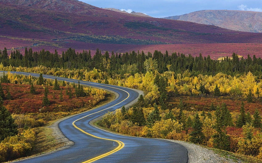 Carretera sinuosa de alta calidad, viaje por carretera a alaska fondo de pantalla