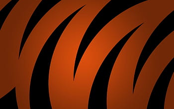 Cincinnati Bengals, American football team, creative American flag, orange  black flag, HD wallpaper