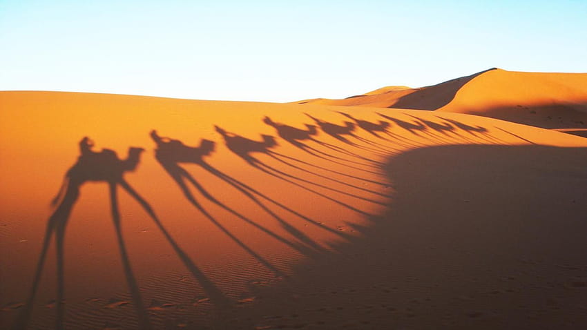 Best 3 Sahara Backgrounds on Hip, egypt map sahara desert HD wallpaper