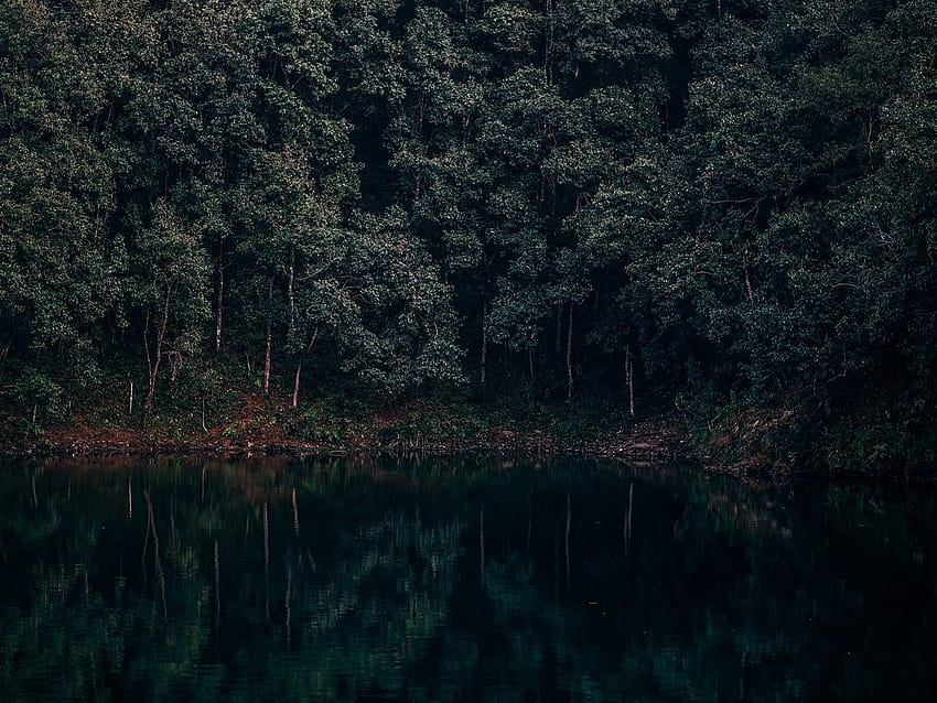 1152x864 lake, trees, forest, reflection, begnas HD wallpaper | Pxfuel