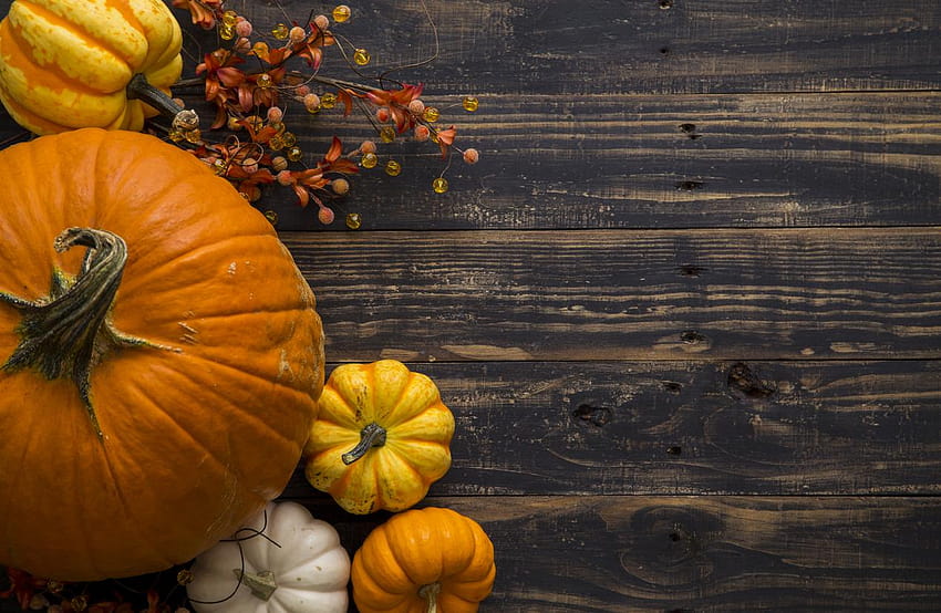 Fall Pumpkin Holiday Backgrounds, pumpkin background HD wallpaper