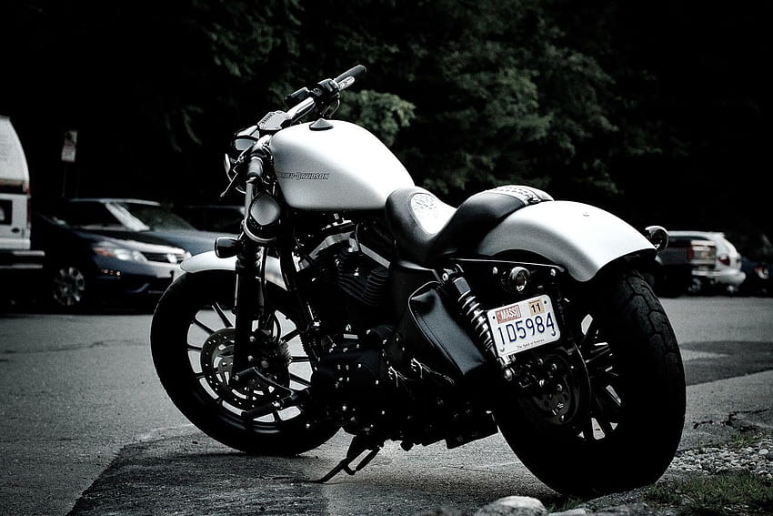 How Many Iron 883 Owners Out There?**, harley davidson iron 883 HD wallpaper