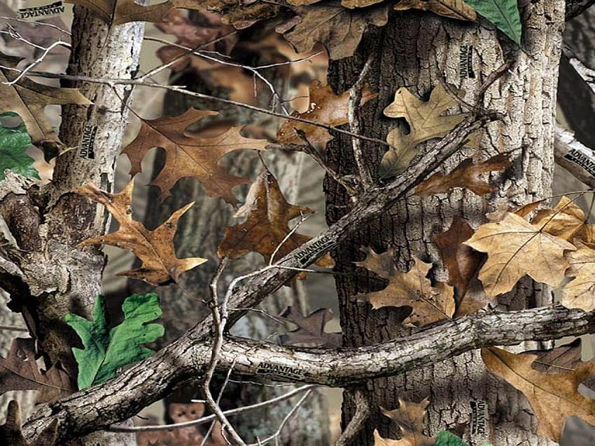 Camo de caça, fundo de camuflagem papel de parede HD