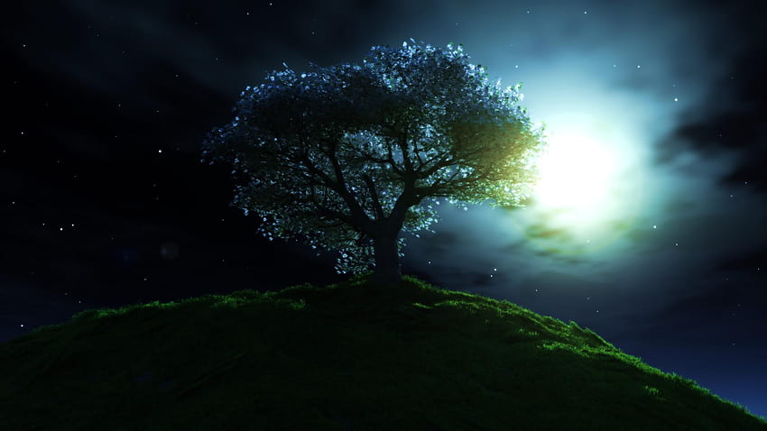 : Lonely Tree, lonely tree with lights HD wallpaper