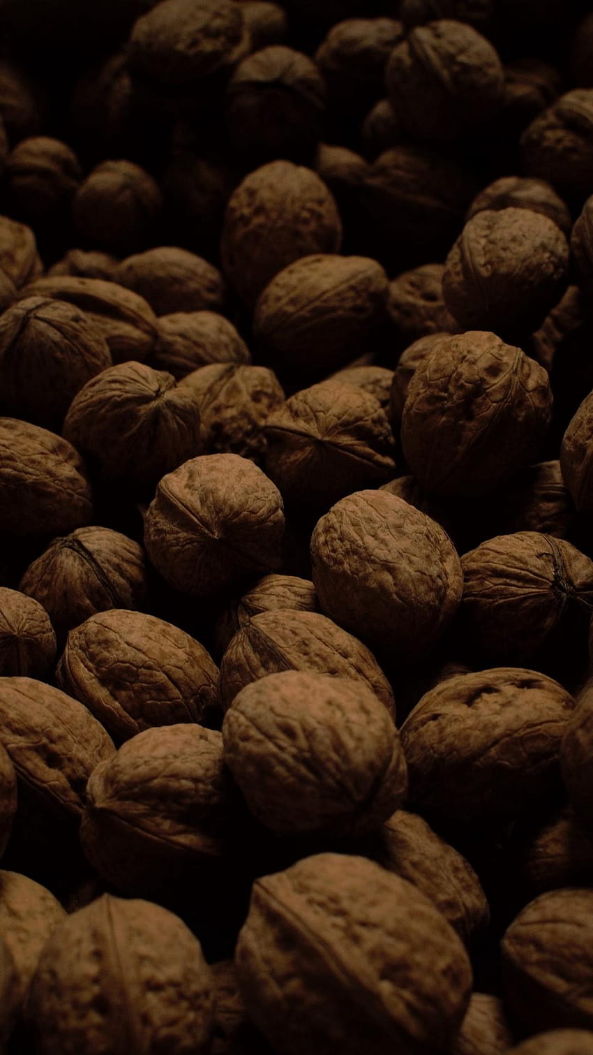 1080x1920 walnuts, dark, many, nuts, harvest, honey nut HD phone wallpaper