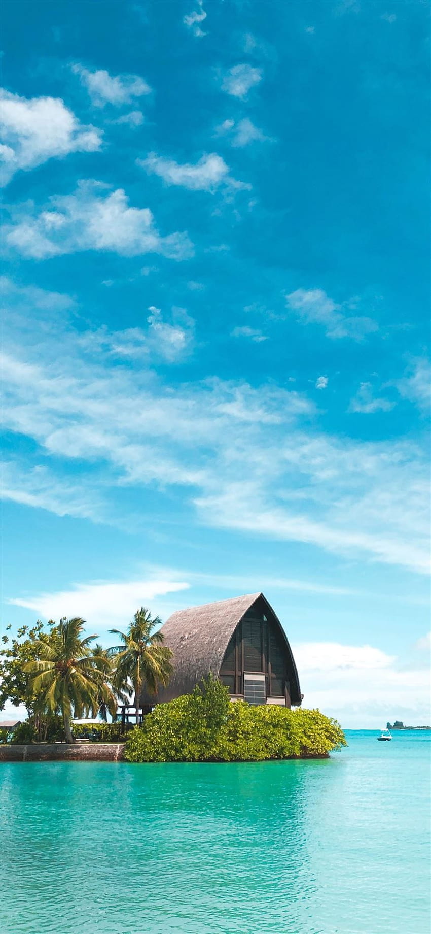 brown hut near coconut palm trees under blue sky iPhone 11 HD phone wallpaper