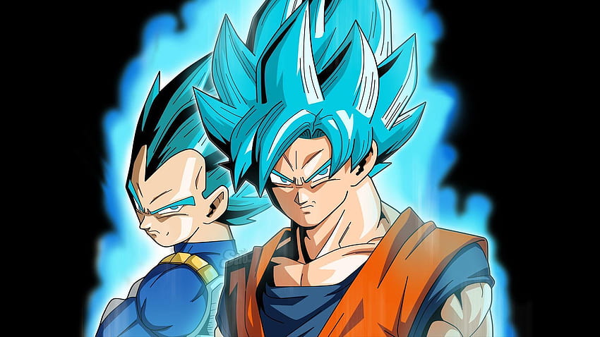 Goku und Vegeta Super Saiyan Blue DB..., Goku Super Saiyajin blau HD-Hintergrundbild