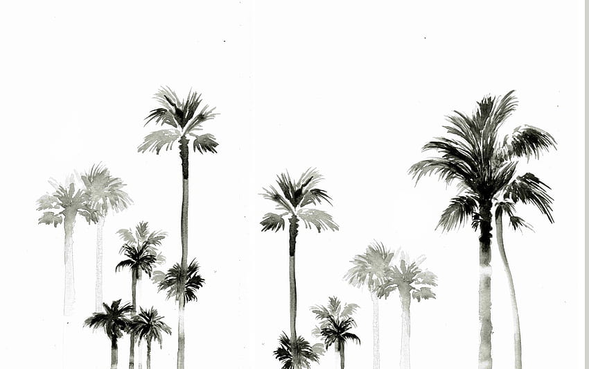 designlovefest palmiers fond d'écran l'été, 여름 미학 HD 월페이퍼
