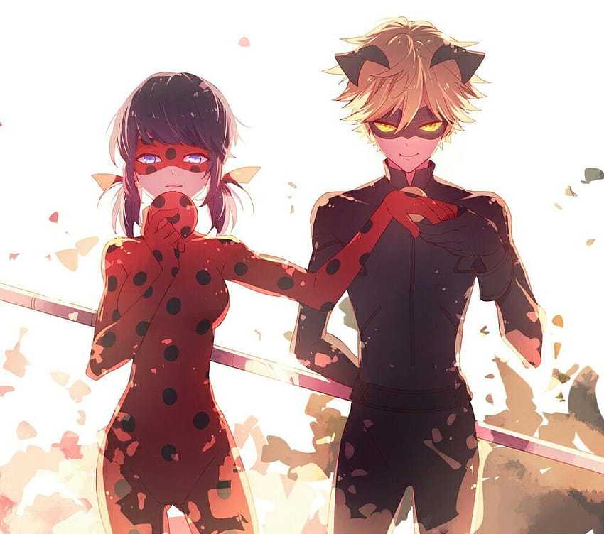 Miraculous : Ladybug and Chat Noir So cute together! *fangirling*, ladybug and chat noir anime HD wallpaper