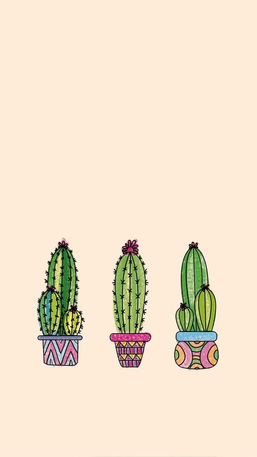 Cactus backgrounds, cactus aesthetic HD phone wallpaper
