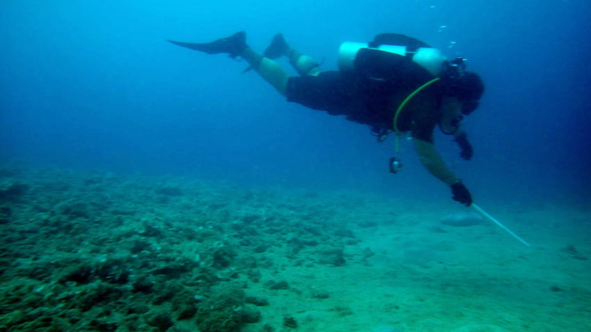 Des plongeurs EOD de la marine effectuent un poste sous-marin Fond d'écran HD
