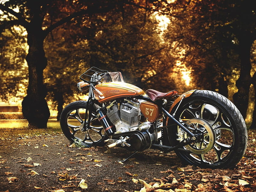 Motocicletta Cruiser Marrone E Grigia, Motocicletta Bobber Marrone, Harley Davidson • Per Te, moto bobber Sfondo HD