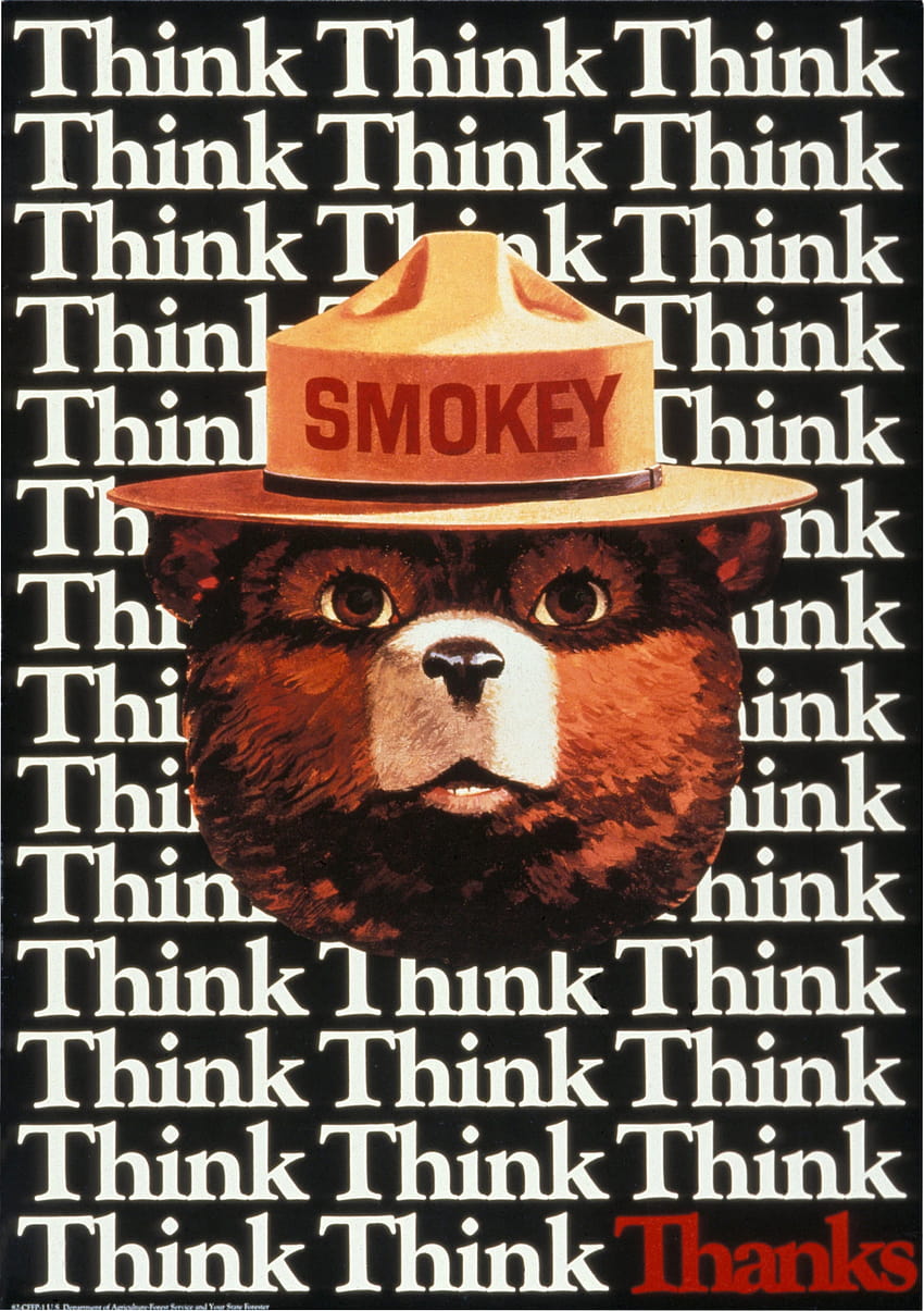 Un regard sur l'héritage de Smokey Bear, pour son 75e anniversaire, smokey the bear Fond d'écran de téléphone HD