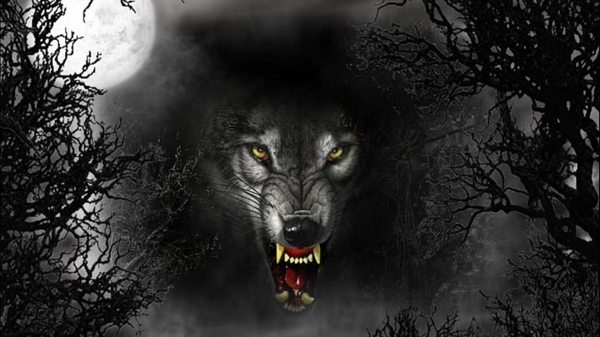 Cruel Wolf, dark, evil, eyes, full moon, vicious, wolf 252588 HD wallpaper