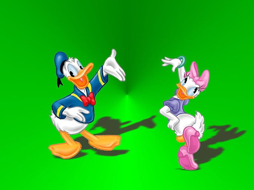 Disney Donald Duck Cartoons Hd Wallpaper Pxfuel 5087