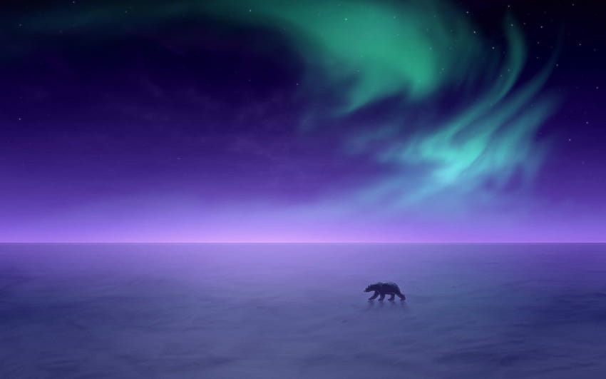Aurora borealis Alaska snow landscapes polar bears, arctic north pole HD wallpaper