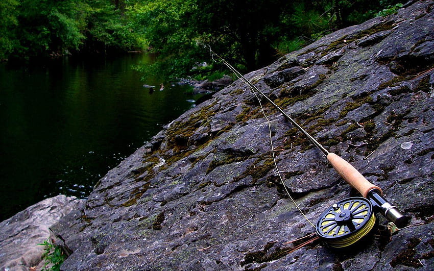Fly Fishing « Long, fly fishing phone HD wallpaper