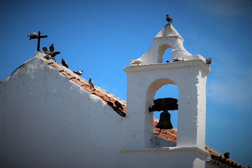 3115897 / bell tower, bells, birds, canary islands, church, pigeons, roof, tenerife, church bell HD wallpaper