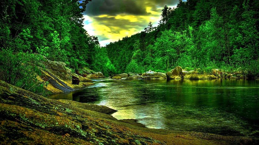 Nature: Amazon 3d Nature Full Screen for 16:9, nature for background full  screen HD wallpaper | Pxfuel