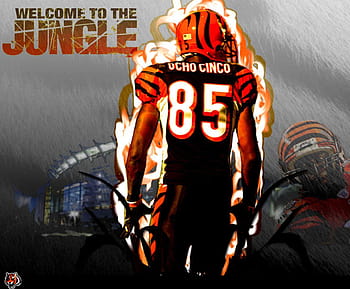 1,314 Bengals Chad Ochocinco Stock Photos, High-Res Pictures, and