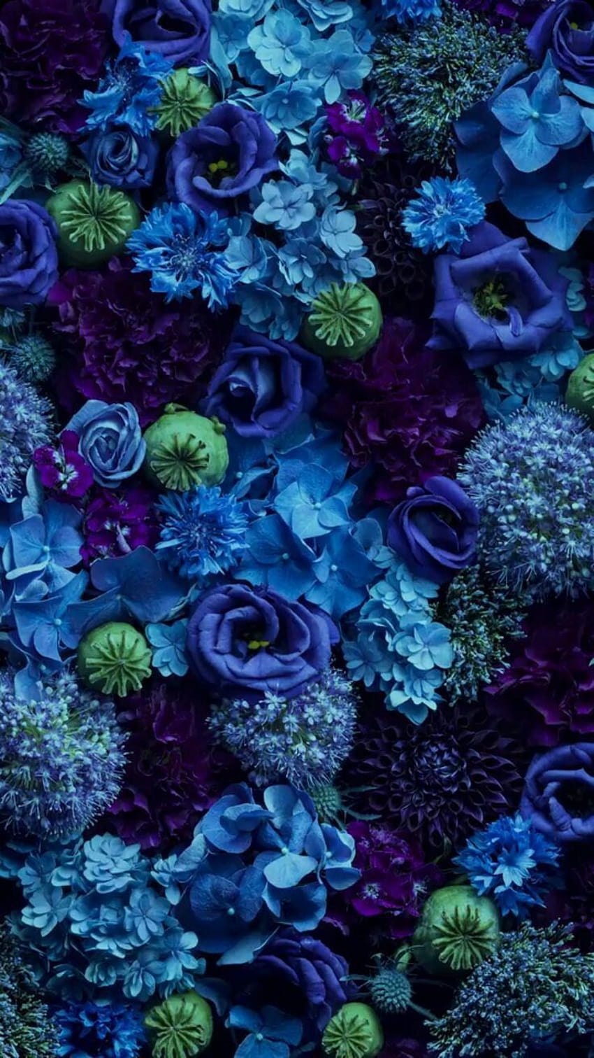 Blue aesthetic, flowers, HD phone wallpaper