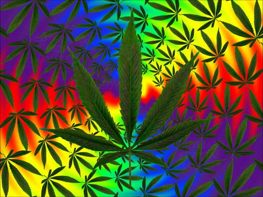 다채로운 Trippy Pot Leaf, 위드 리프 블루 HD 월페이퍼