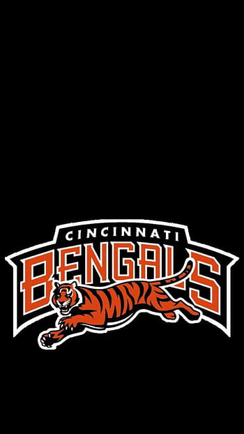 CINCINNATI BENGALS nfl football rq wallpaper, 2592x1728, 157670