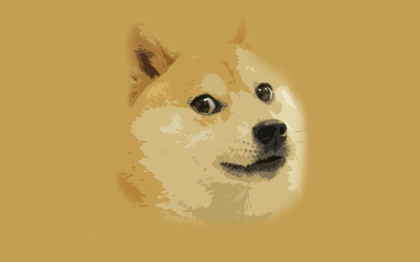 Best 4 Doge Backgrounds for Computer on Hip, windoge 8 HD wallpaper
