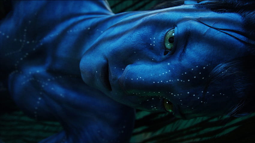 Avatar illustration Neytiri Avatar Jake Sully James Cameron Navi  language avatar heroes fictional Character png  PNGEgg